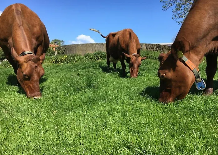 Apartamento Haffskoppel